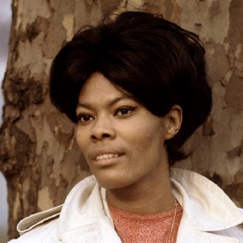 Dionne Warwick Image
